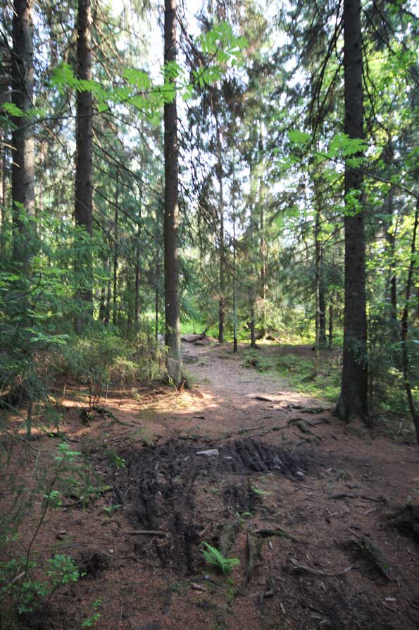 Hannusmetsän luontopolku, Espoo