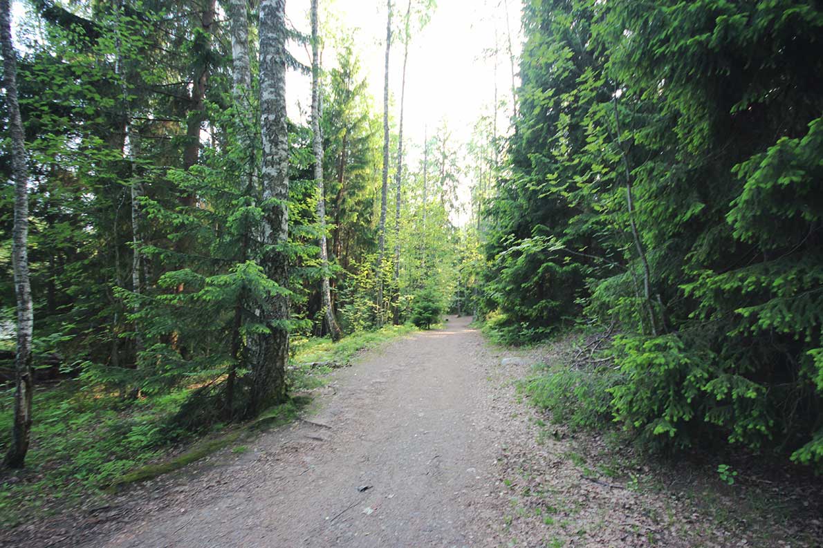 Hannusmetsän luontopolku, Espoo