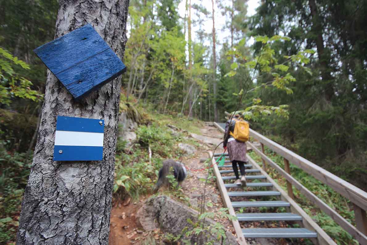 Haukankierros, Nuuksio.