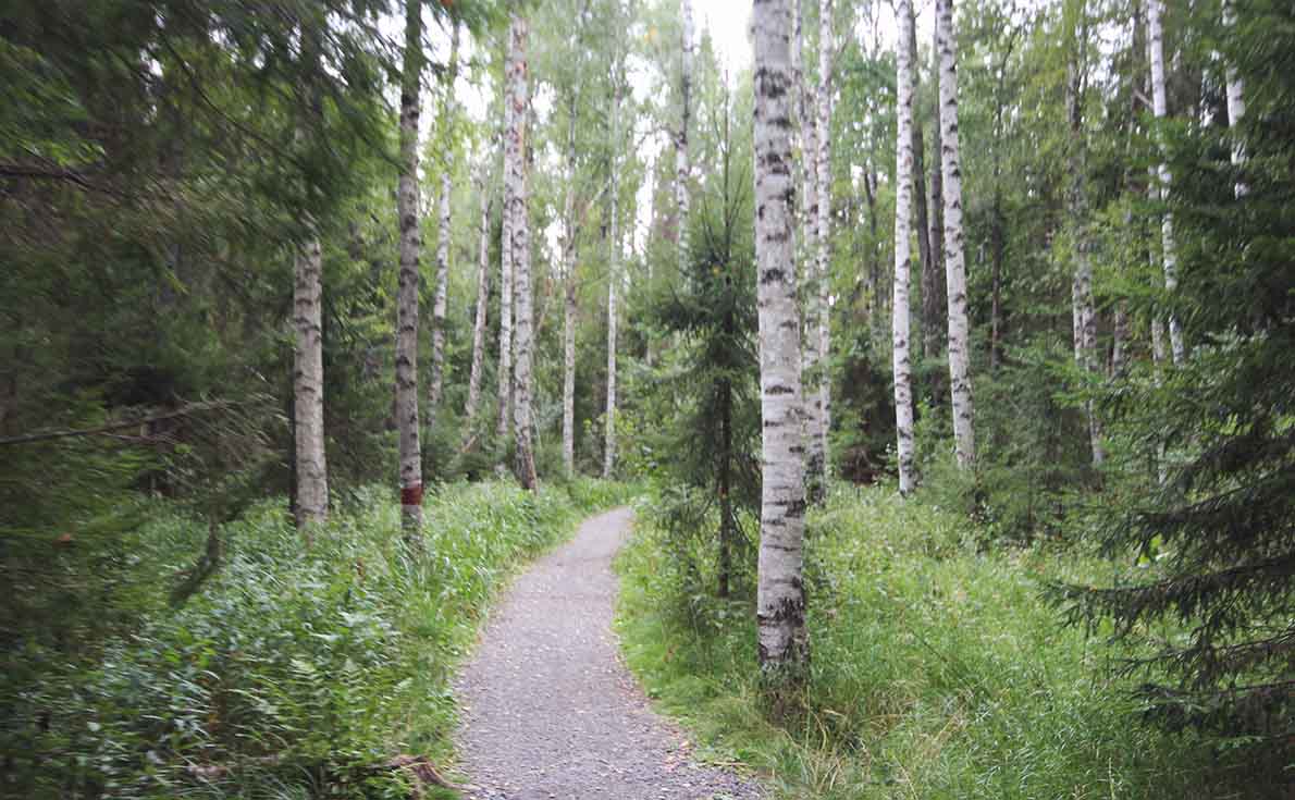 Haukankierros, Nuuksio.
