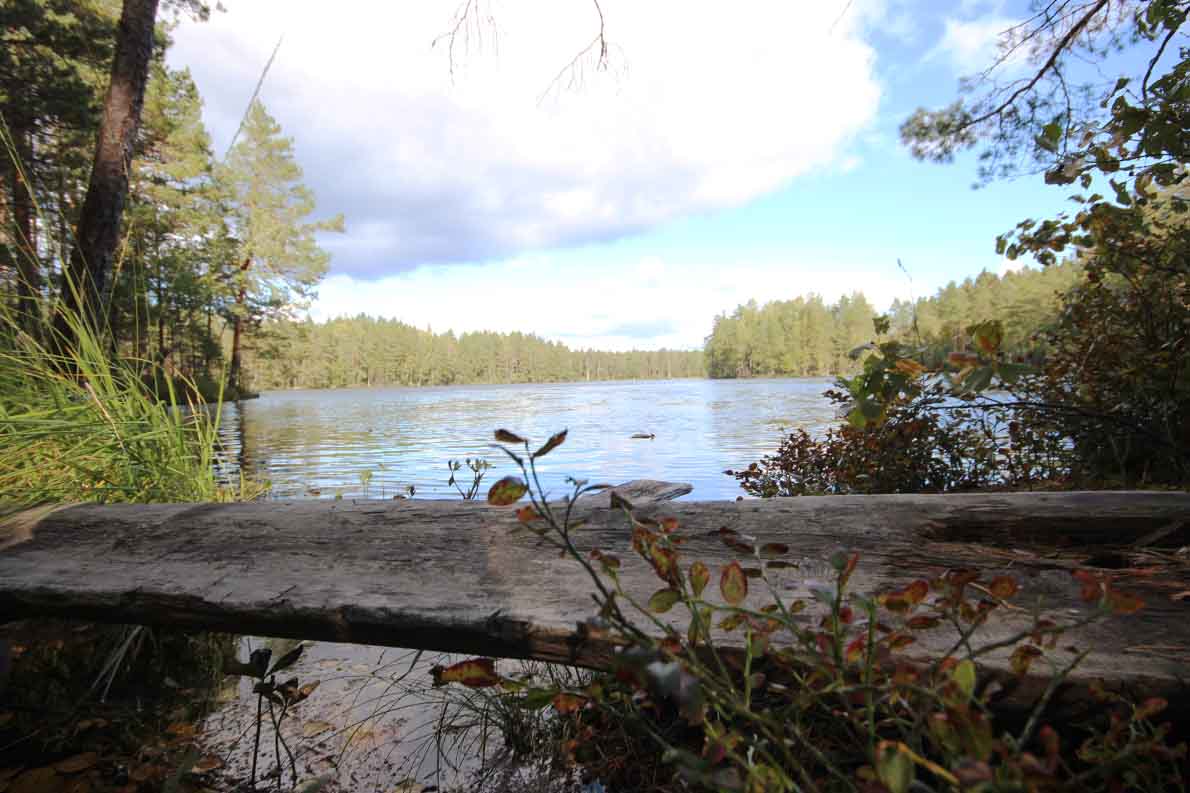 Korpinkierros, Nuuksio