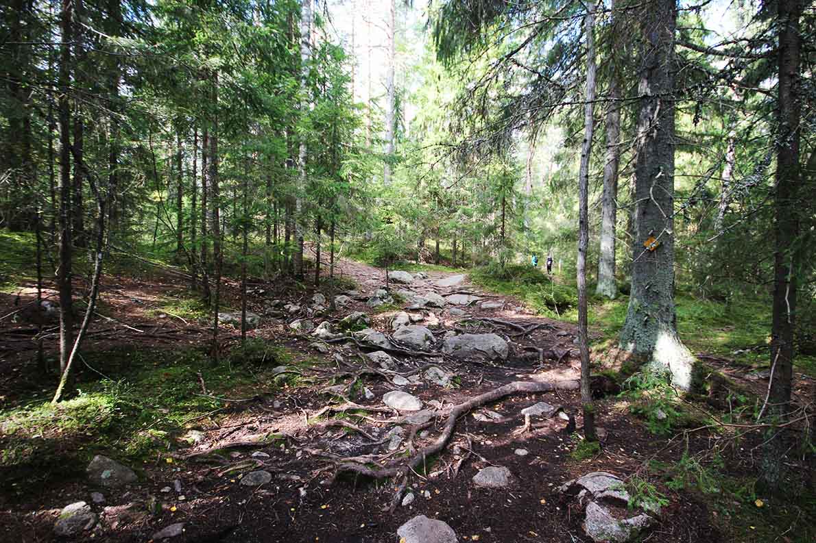 Korpinkierros, Nuuksio