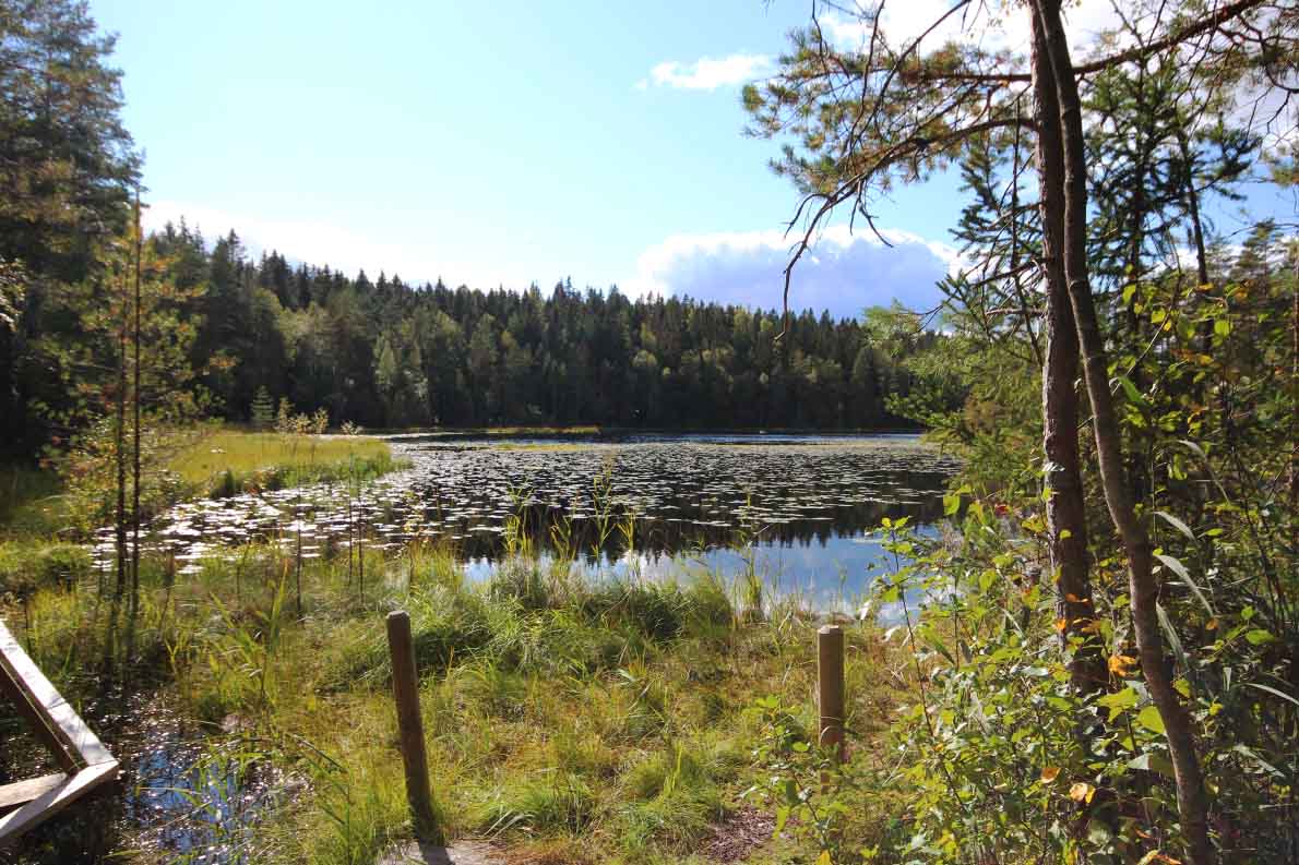 Korpinkierros, Nuuksio