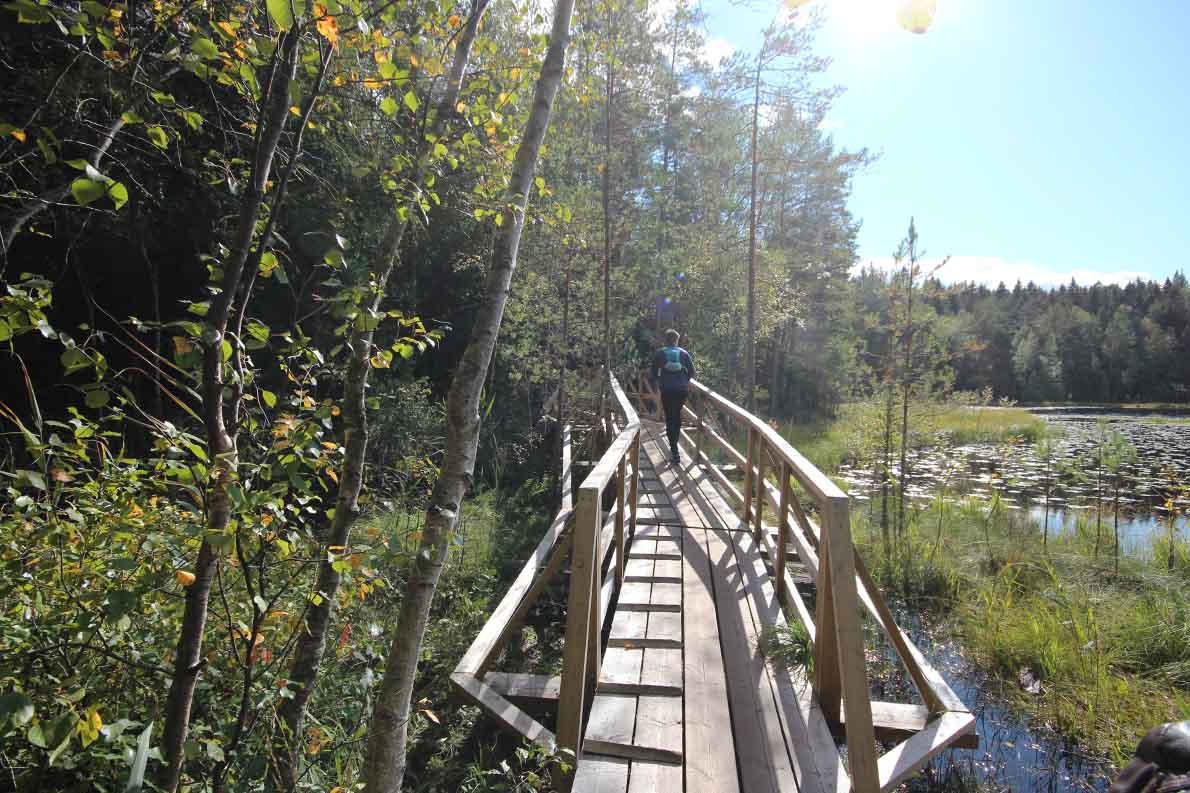 Korpinkierros, Nuuksio