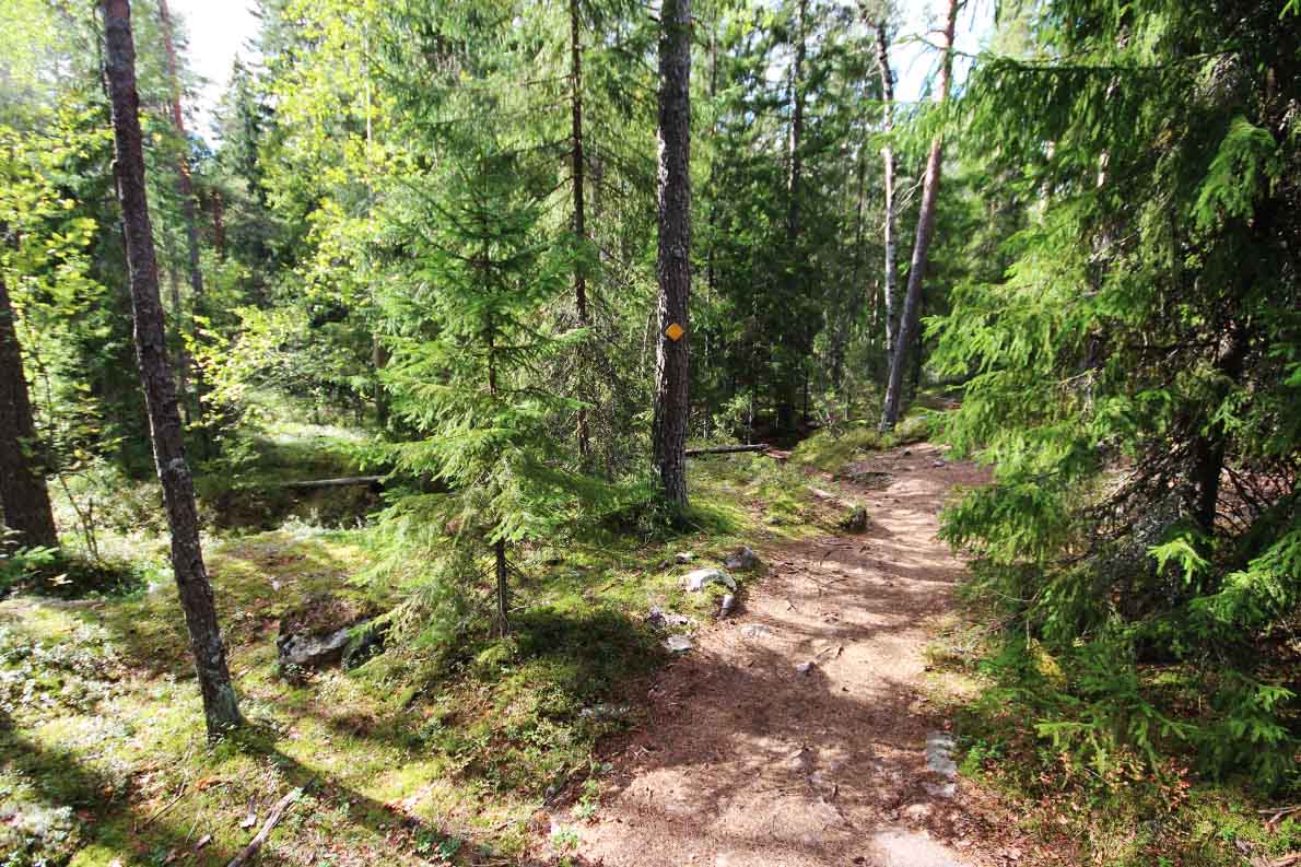 Korpinkierros, Nuuksio
