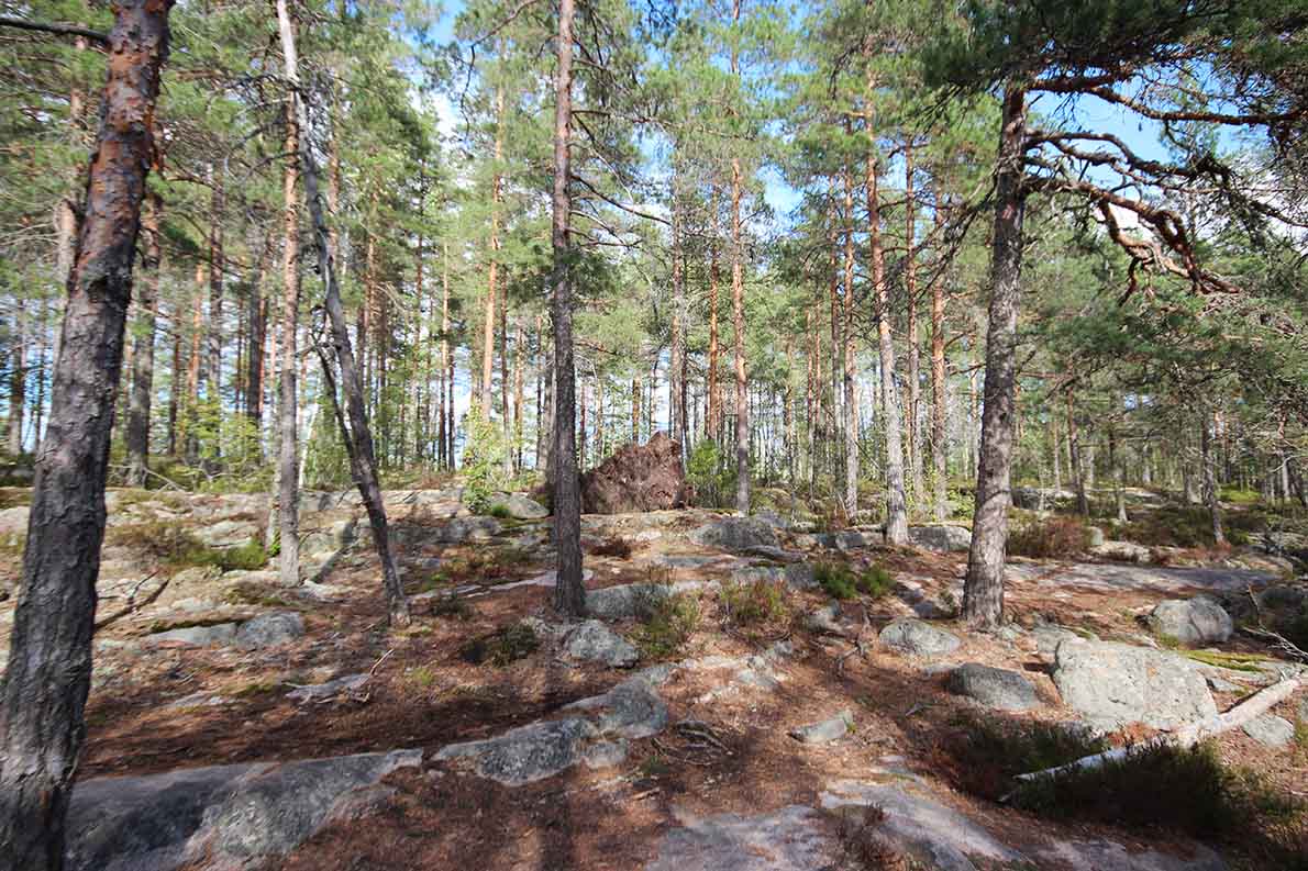 Korpinkierros, Nuuksio