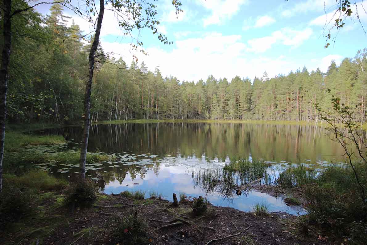 Korpinkierros, Nuuksio