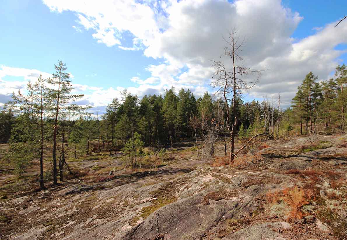 Korpinkierros, Nuuksio