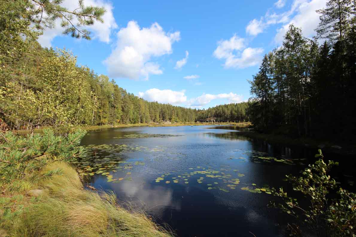Korpinkierros, Nuuksio