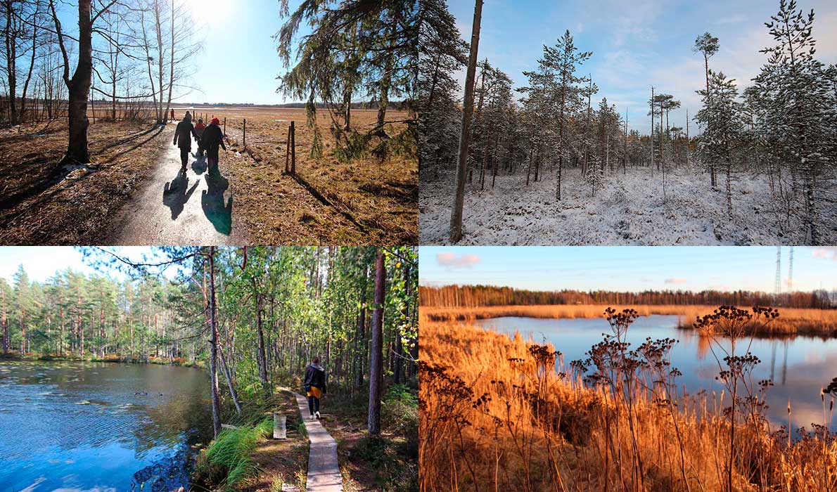 Kuvituskuva.