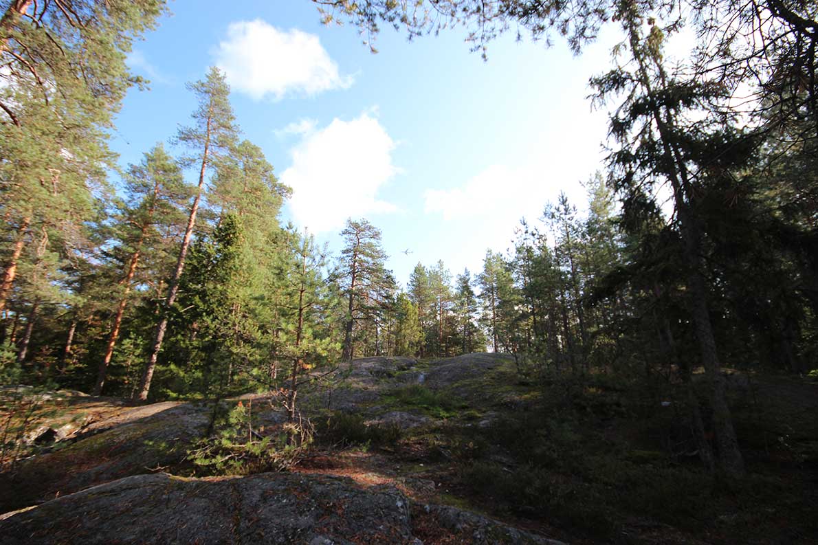 Palolampi ja Kauklahden kuntorata