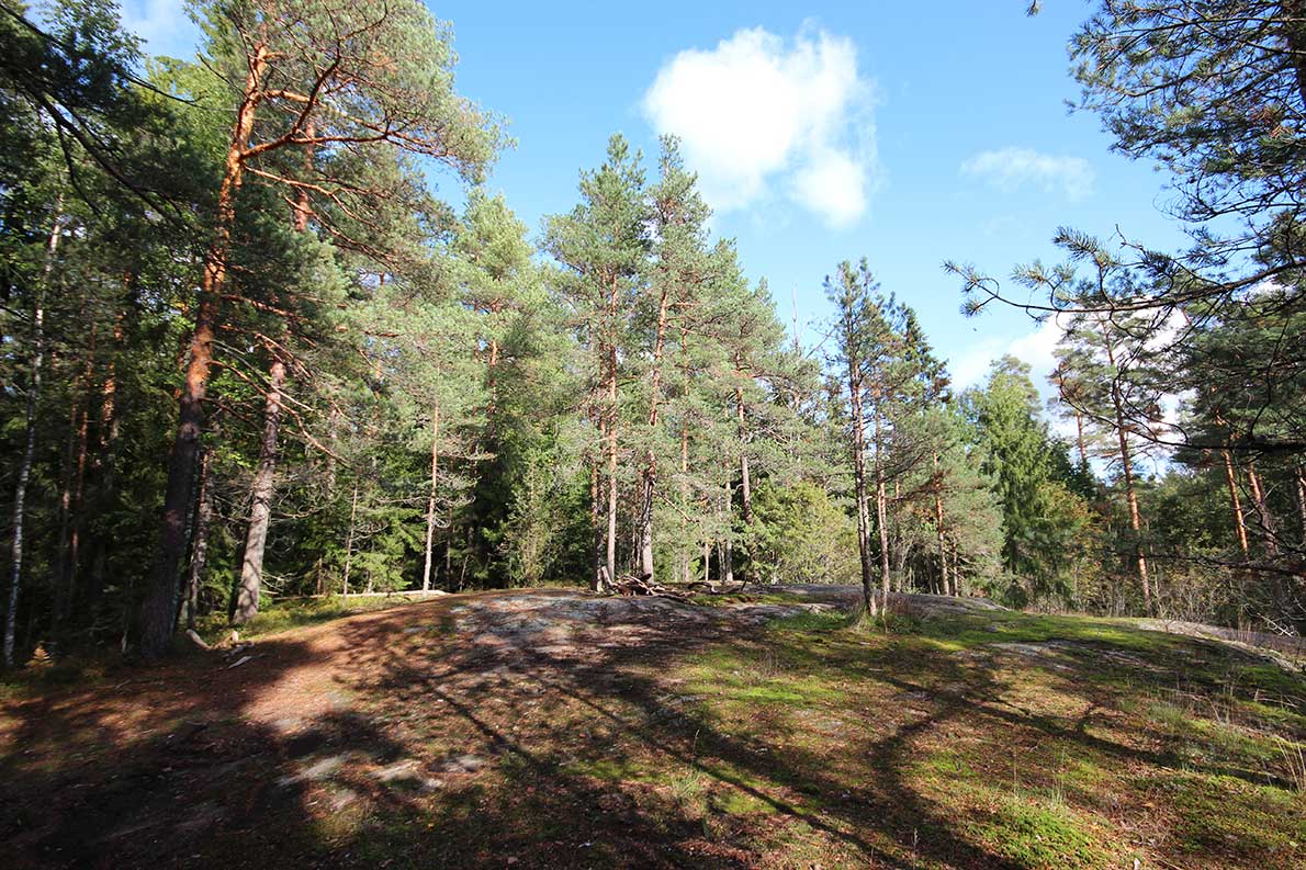 Palolampi ja Kauklahden kuntorata