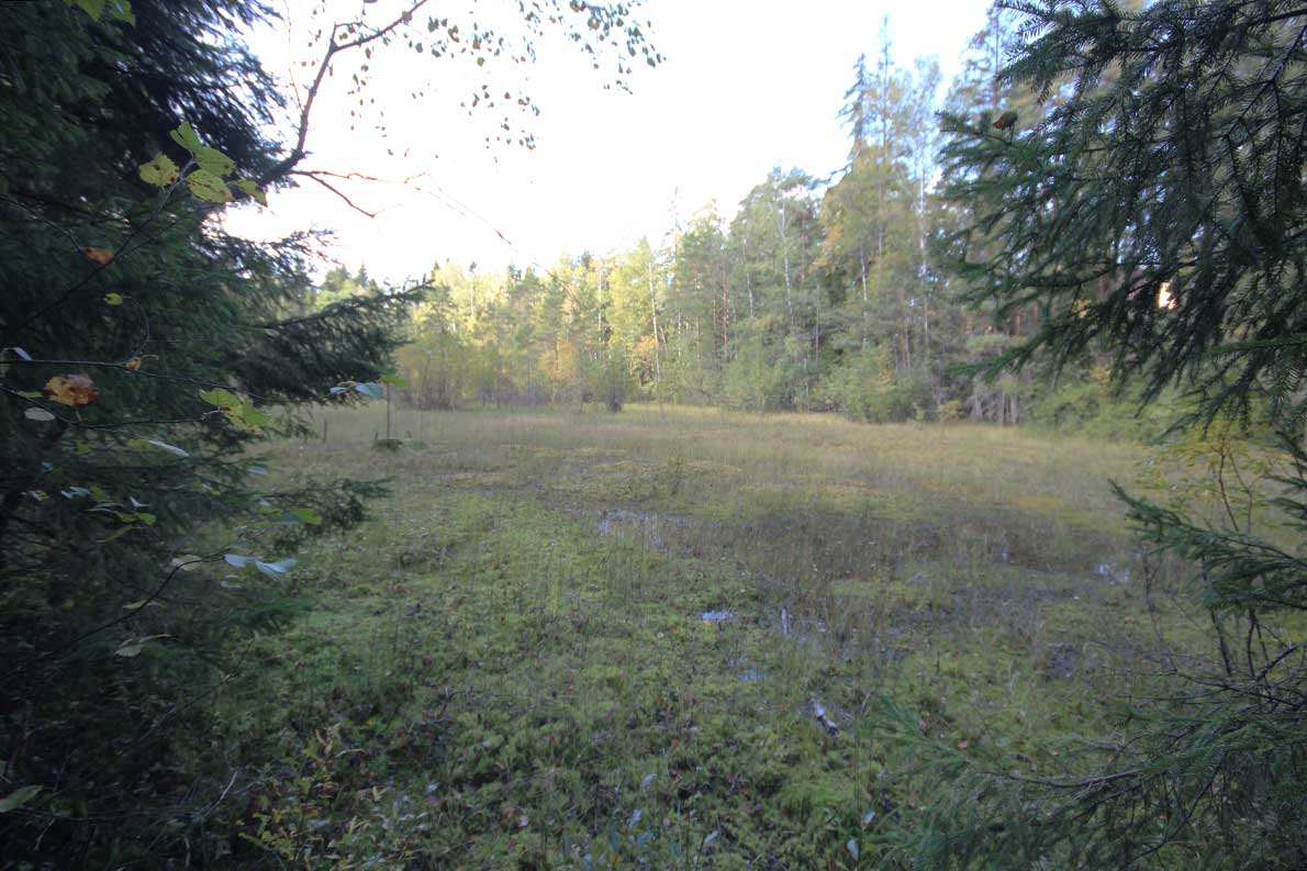 Palolampi ja Kauklahden kuntorata