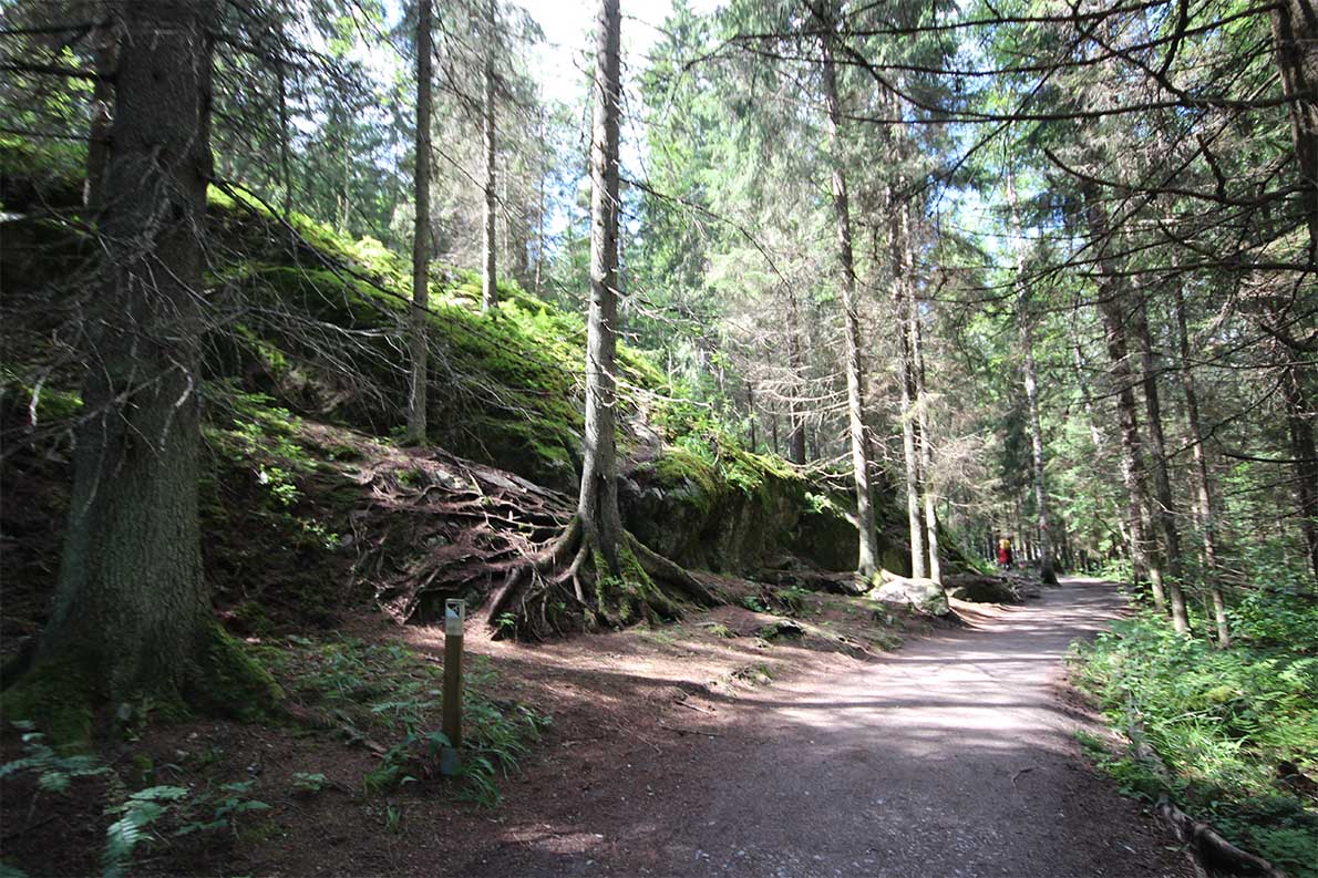 Punarinnankierros, Nuuksio.