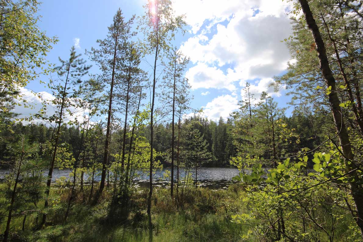 Punarinnankierros, Nuuksio.