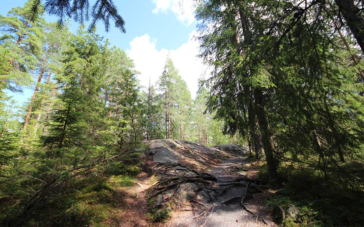 Punarinnankierros, Nuuksio.
