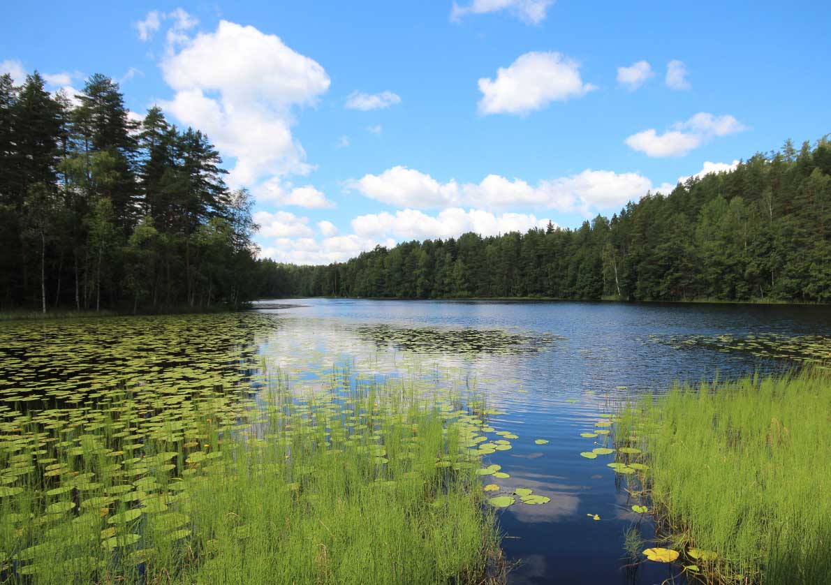 Punarinnankierros, Nuuksio.