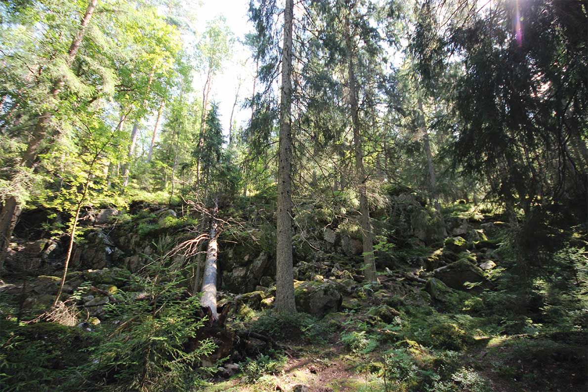Punarinnankierros, Nuuksio.