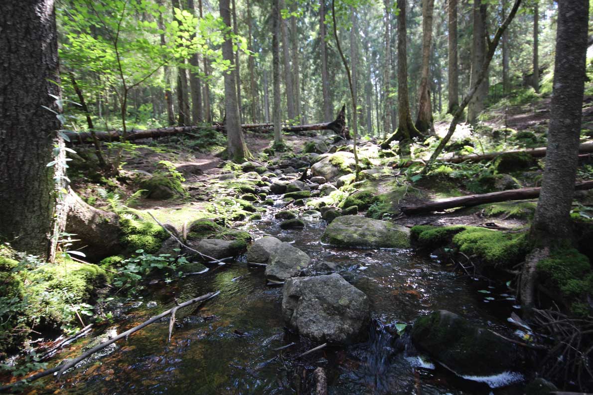 Punarinnankierros, Nuuksio.