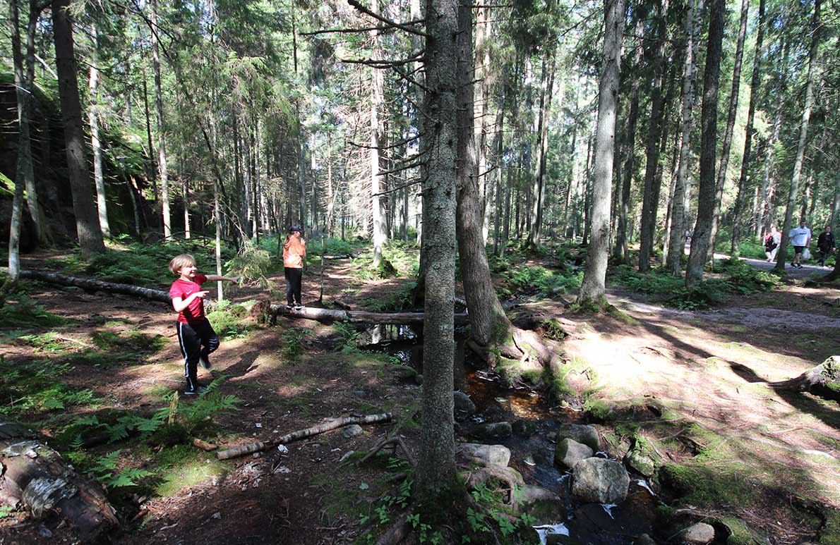 Punarinnankierros, Nuuksio.