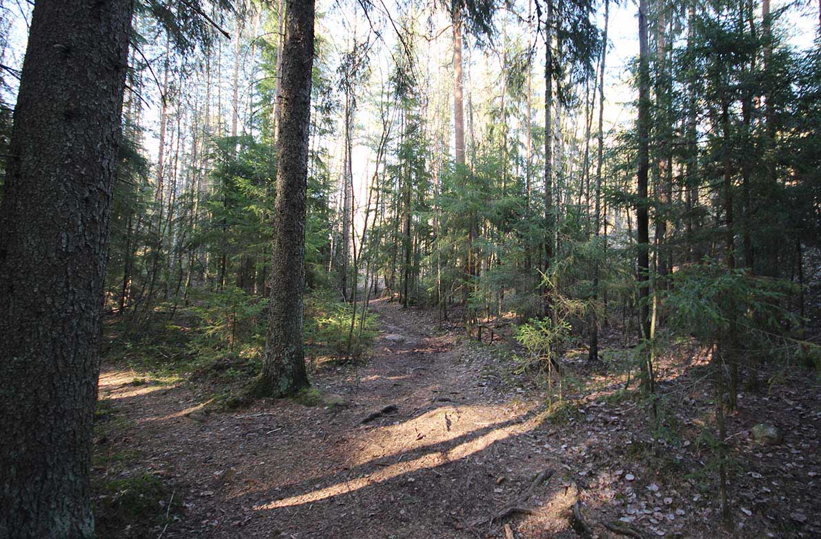 Sorlammen luontopolku, Nuuksio