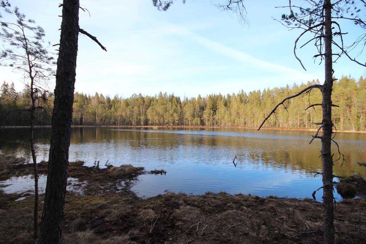 Sorlammen luontopolku, Nuuksio