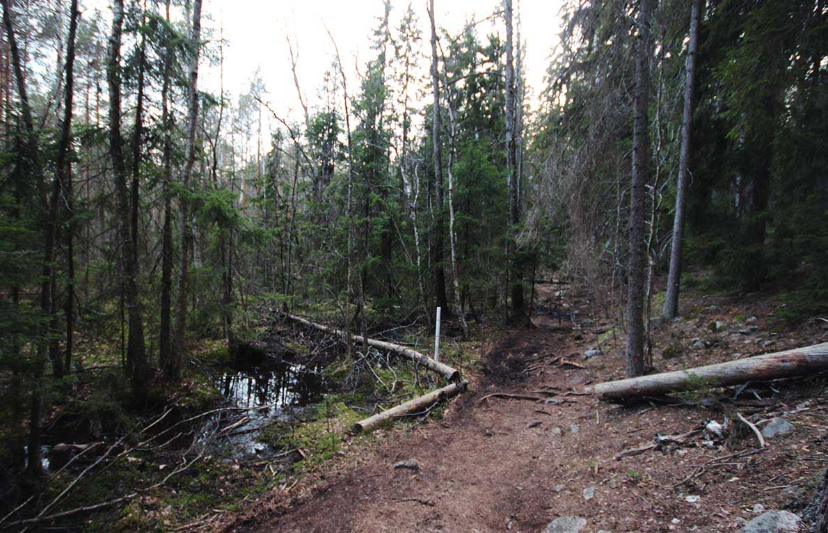 Sorlammen luontopolku, Nuuksio