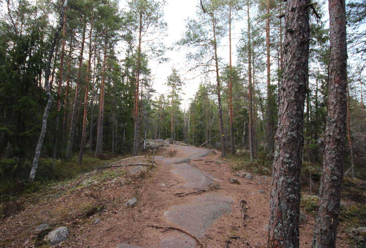 Sorlammen luontopolku, Nuuksio