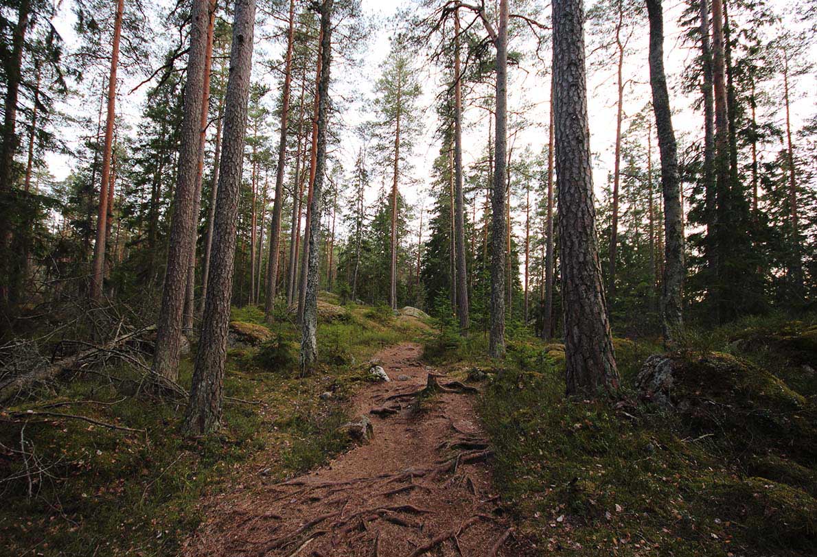 Sorlammen luontopolku, Nuuksio