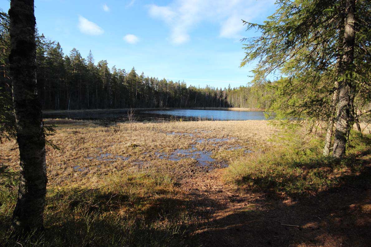 Sorlammen luontopolku, Nuuksio