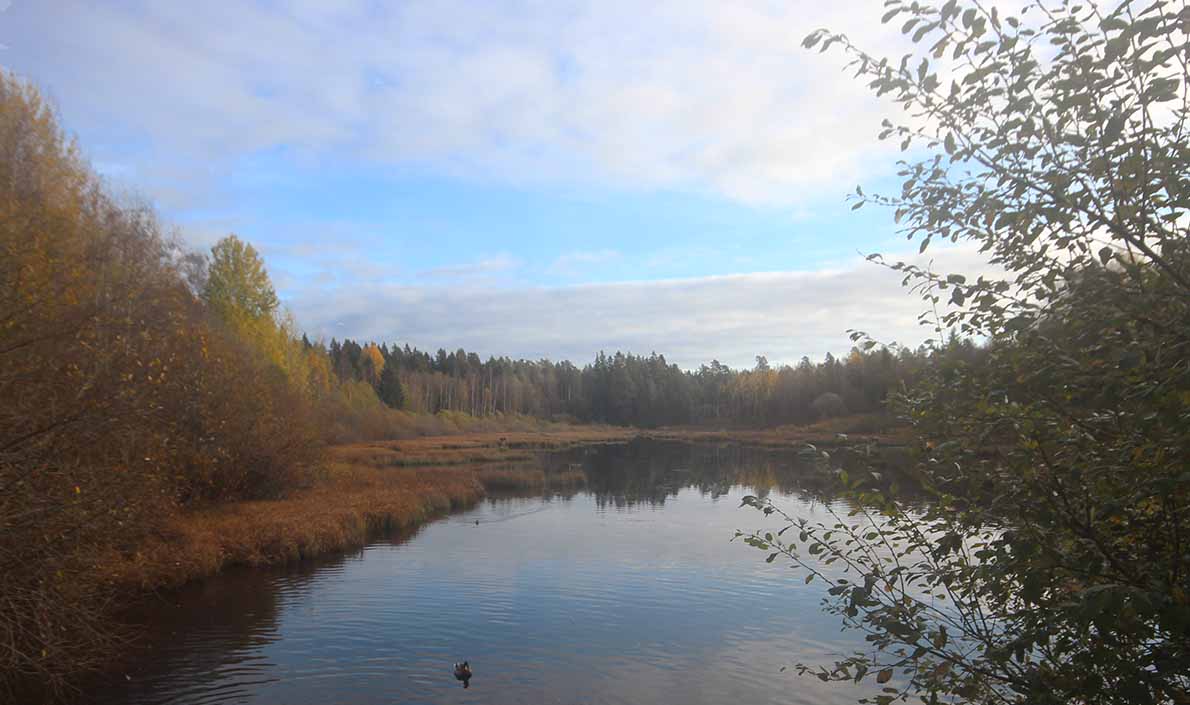 Tikankierros, Espoon keskuspuisto