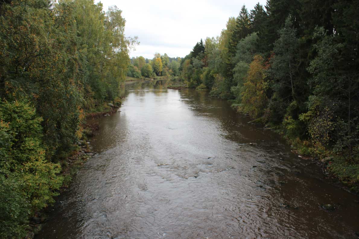 Vantaankoski ja Vantaankosken luontopolku