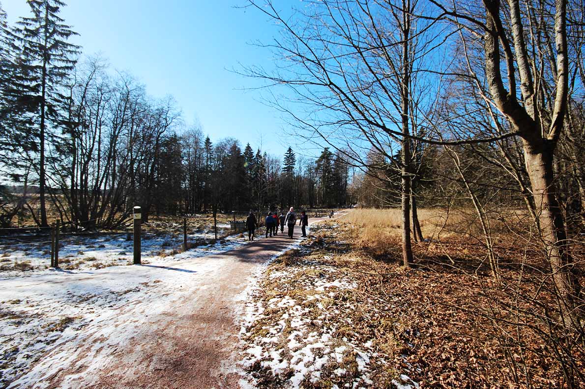 Villa Elfvikin luontopolku, Espoo.