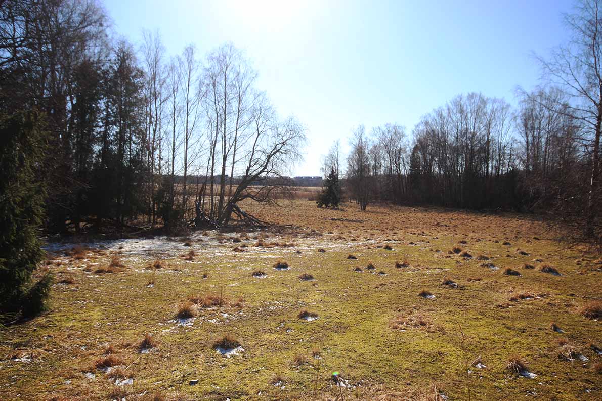 Villa Elfvikin luontopolku, Espoo.