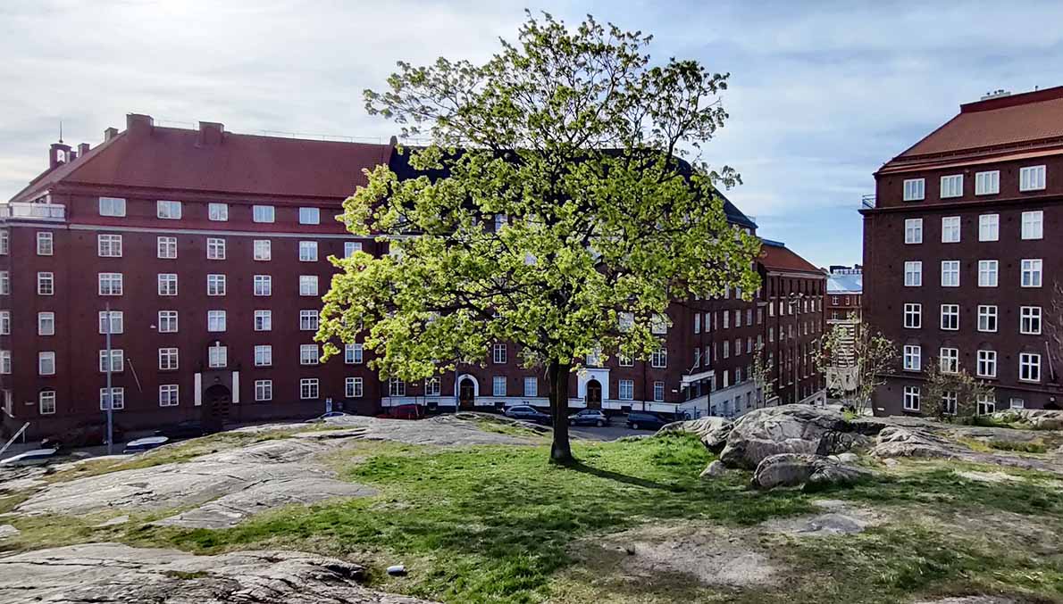 Temppeliaukion kalliot, Helsinki.