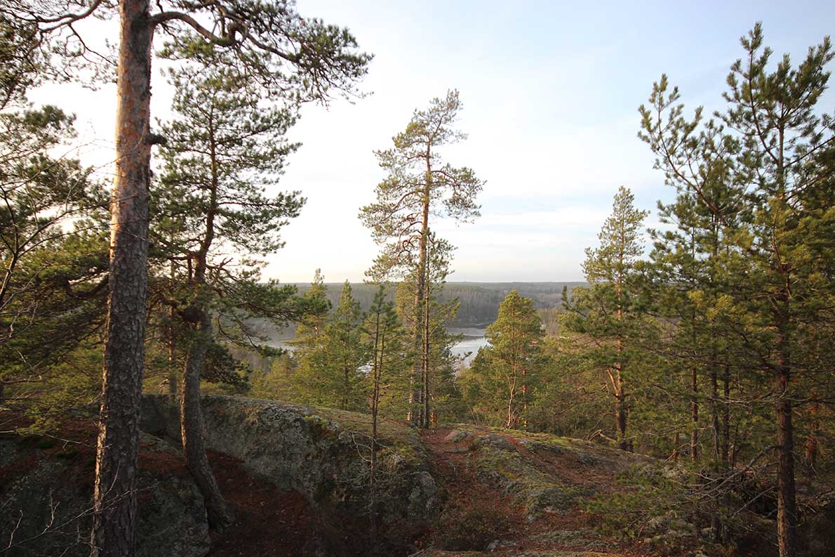 Hyppykallio, Nuuksio.