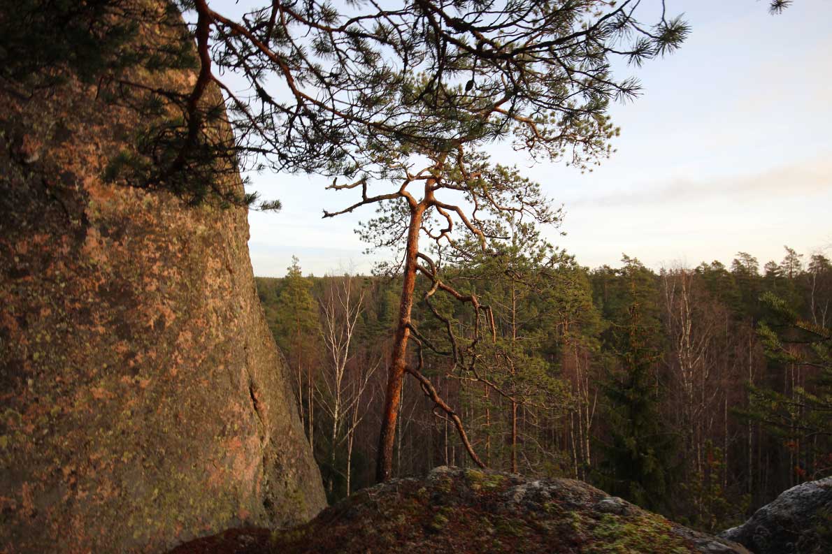 Hyppykallio, Nuuksio.