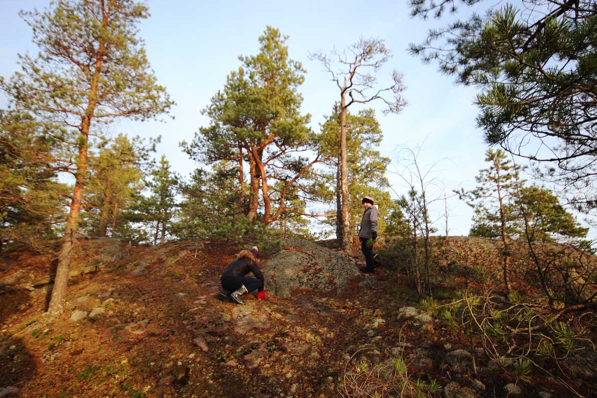 Hyppykallio, Nuuksio