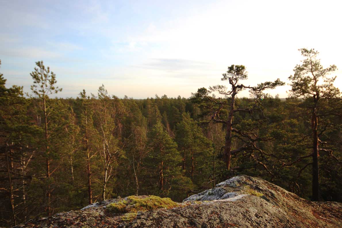 Hyppykallio, Nuuksio