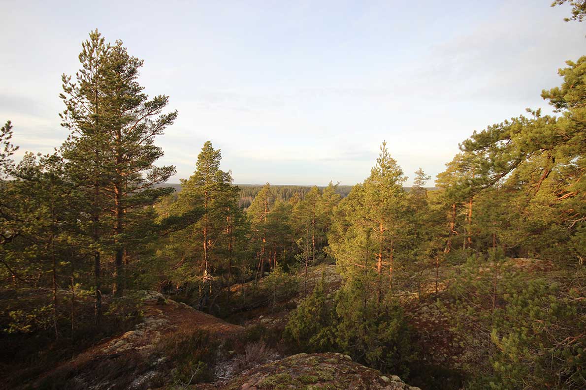 Hyppykallio, Nuuksio.