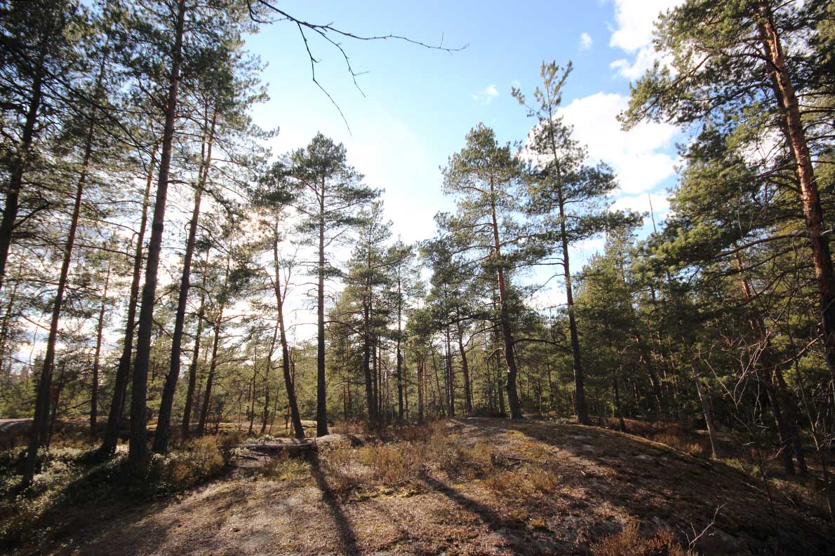 Kalkkikallio, Vantaa