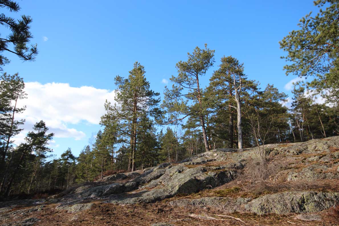 Kalkkikallio, Vantaa