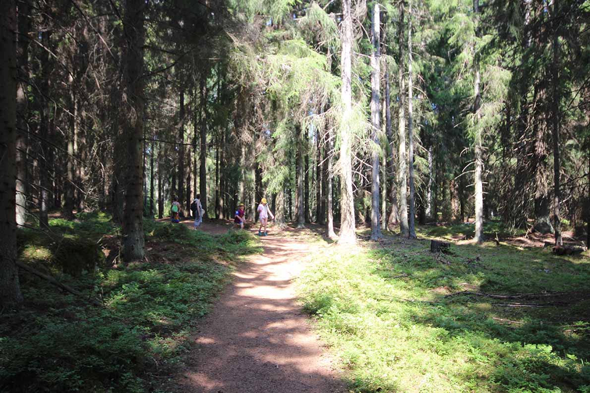 Pentalan saari, Espoo.
