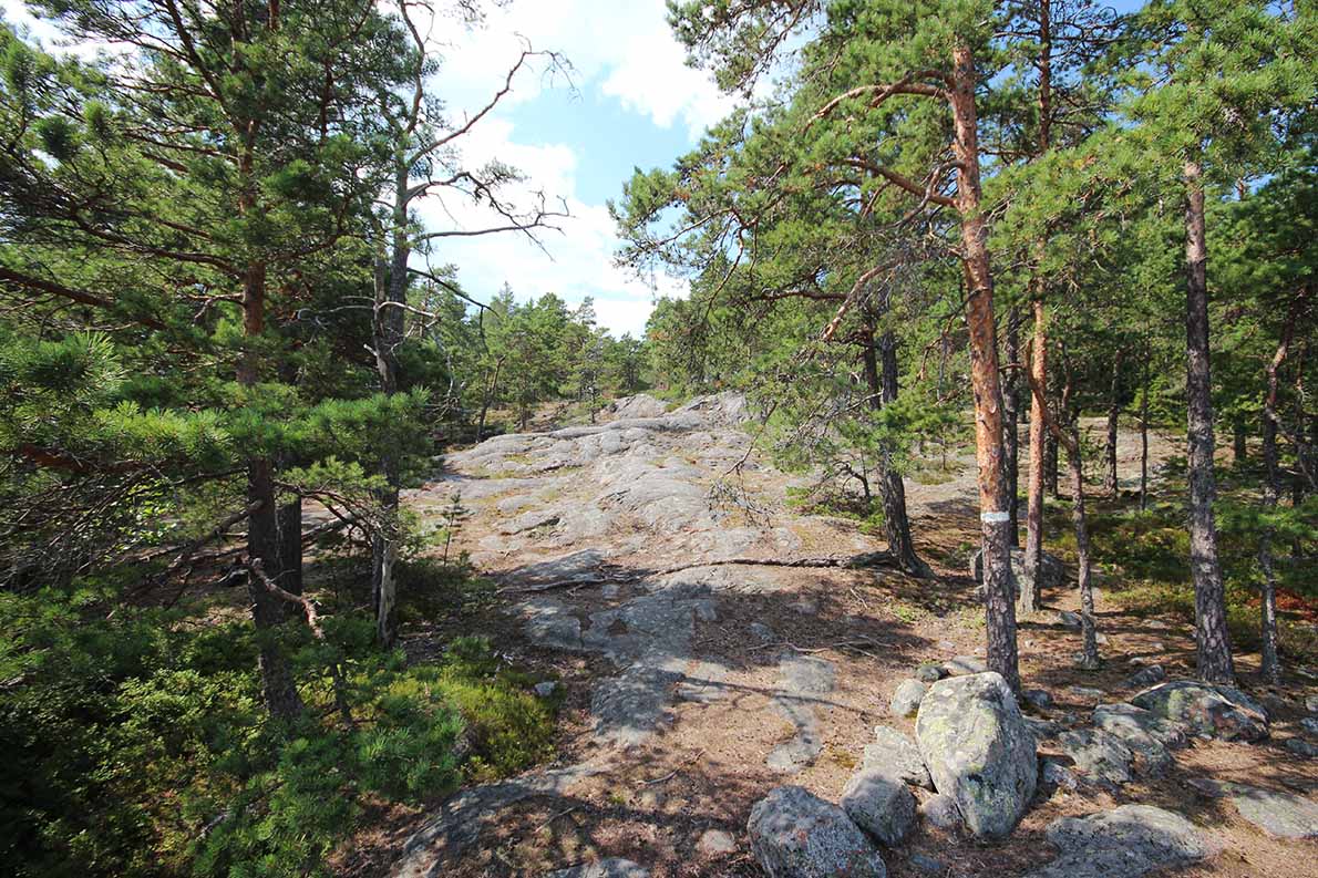 Pentalan saari, Espoo.