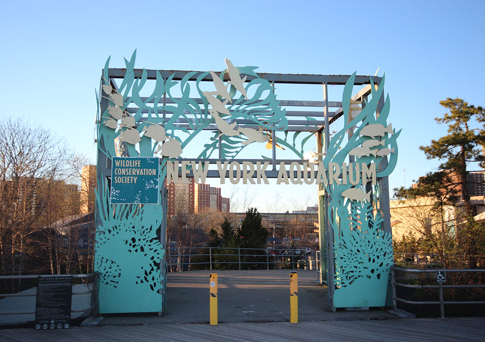 Coney Island, New York.