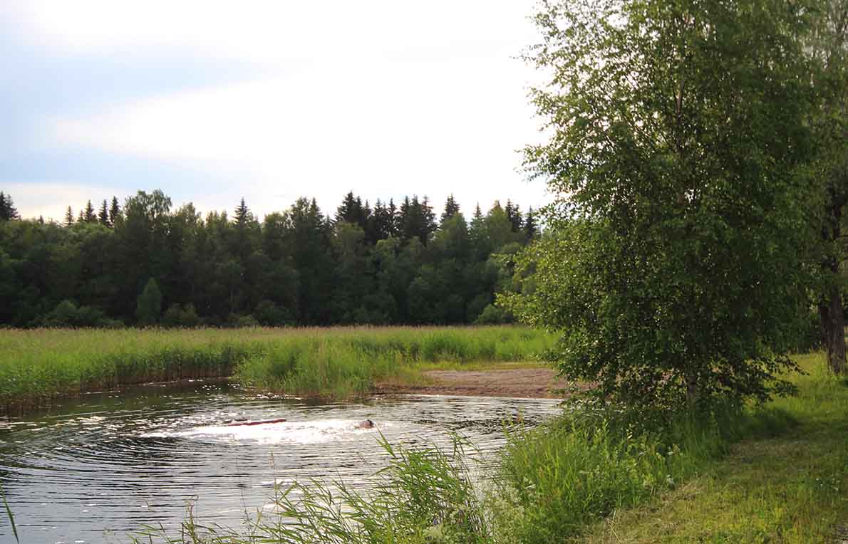 Venesataman uimaranta, Joroinen.
