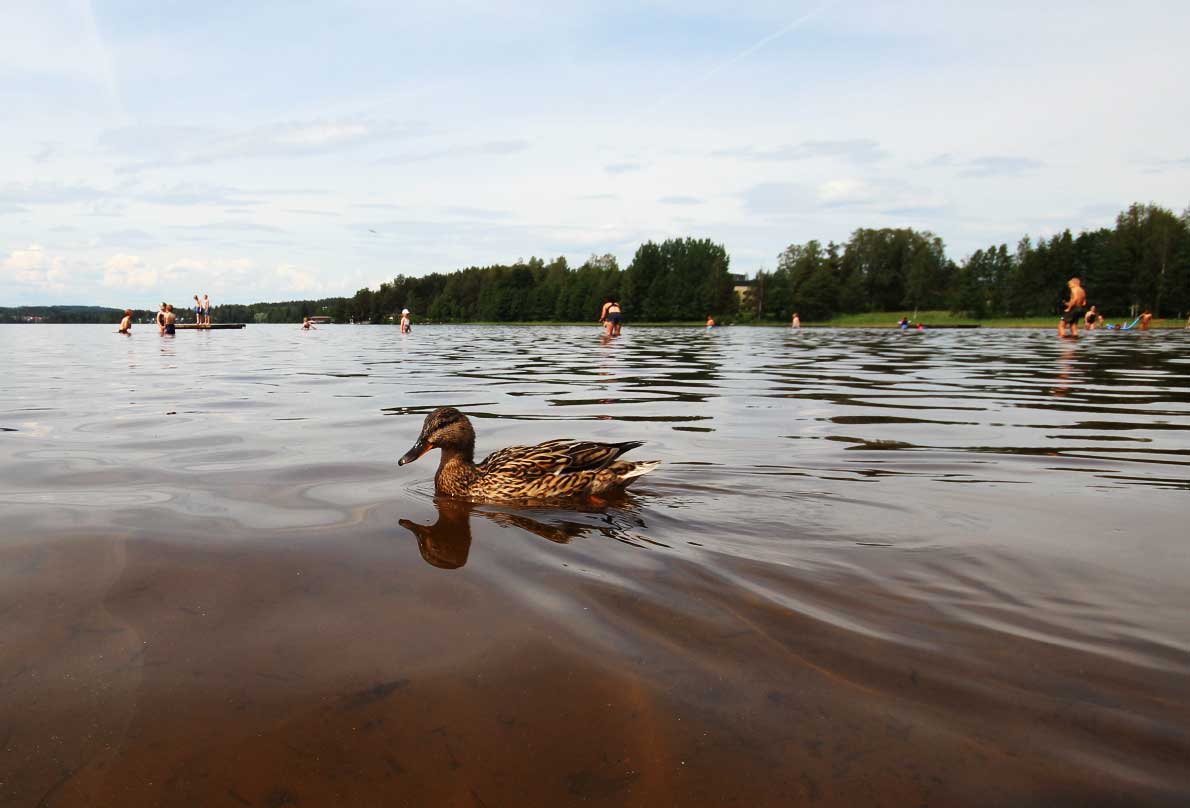 Tuomiojärven uimaranta, Jyväskylä