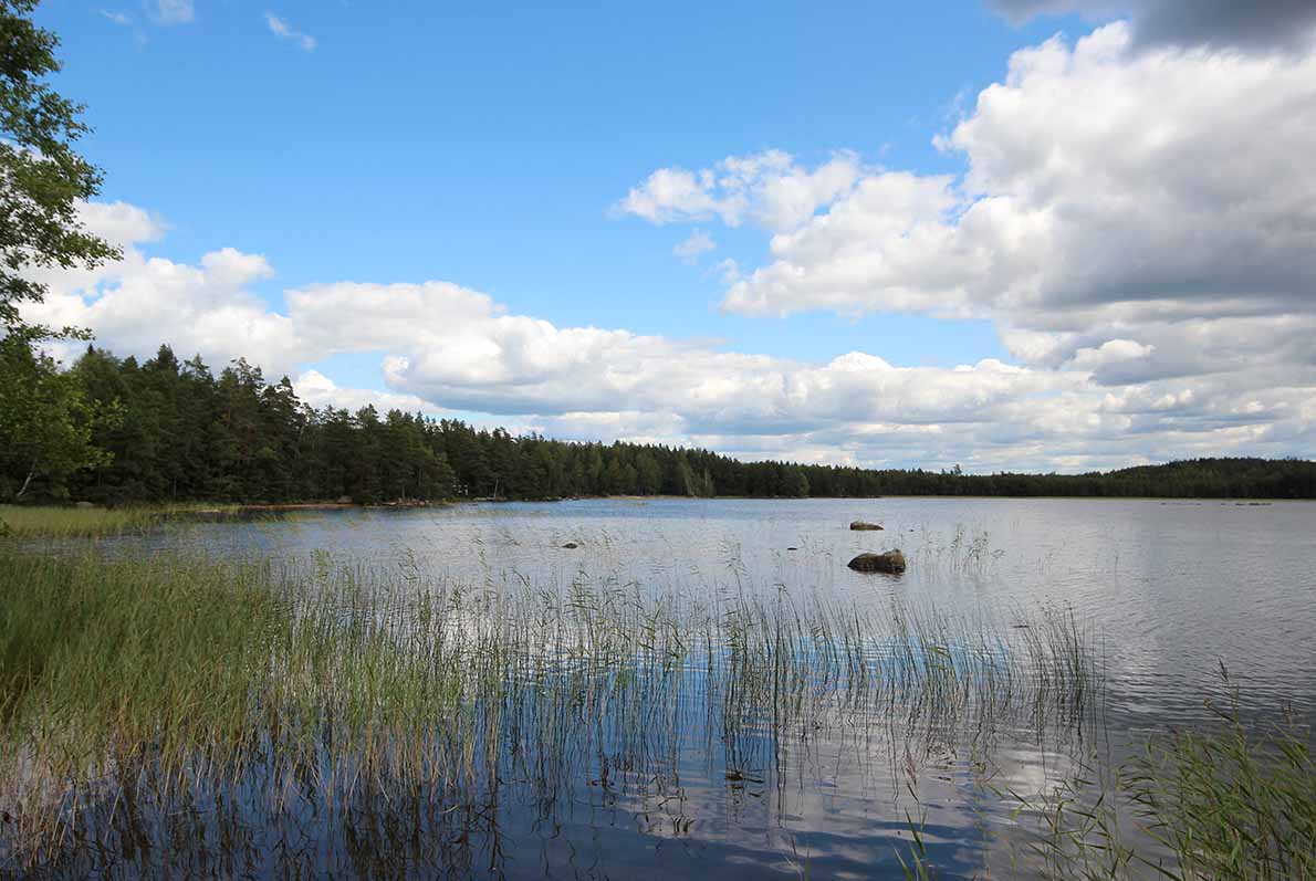 Särkjärven pohjoinen uimaranta Loviisa.