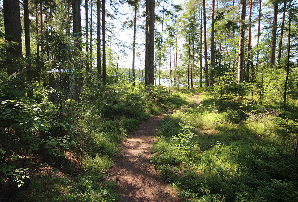 Nummijärven uimaranta, Siuntio