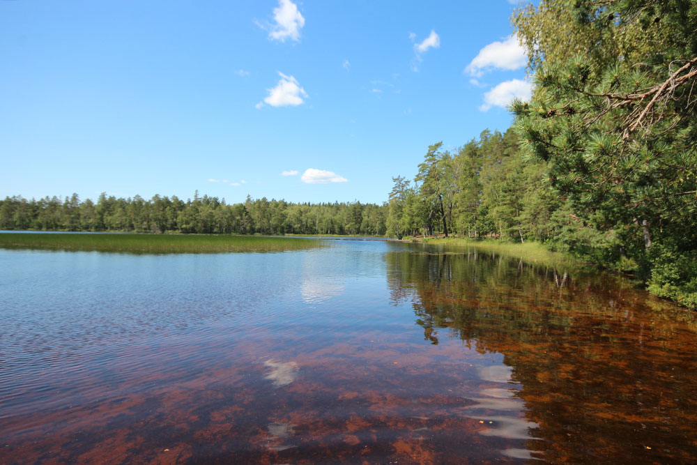 Nummijärven uimaranta, Siuntio